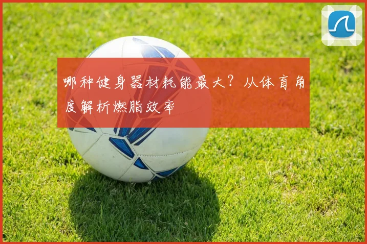 哪种健身器材耗能最大？从体育角度解析燃脂效率