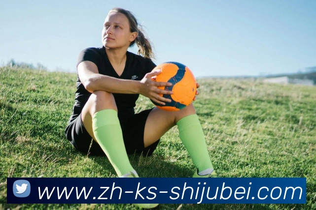 世界杯赛程表品牌故事