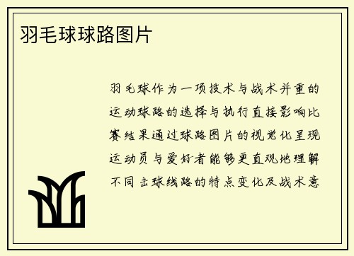 羽毛球球路图片